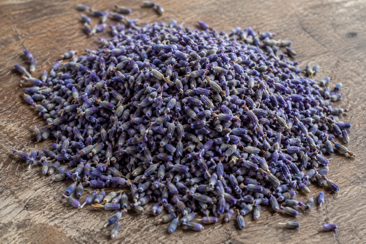 Organic dry lavender flowers