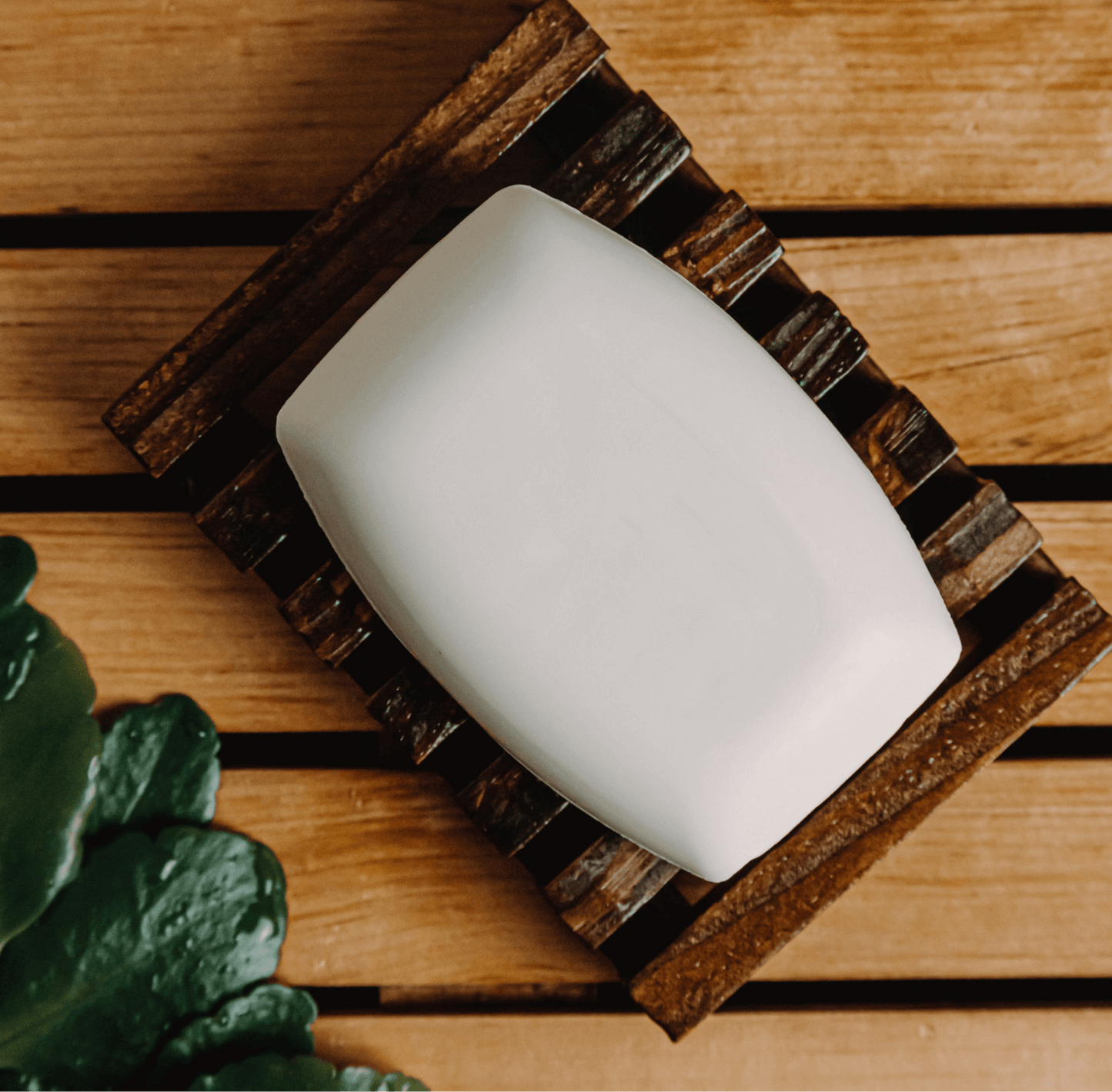 Organic Shampoo & Conditioner