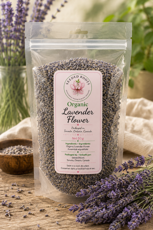 Organic dry lavender flowers